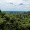 Borneo - Kinabatangan river o1058